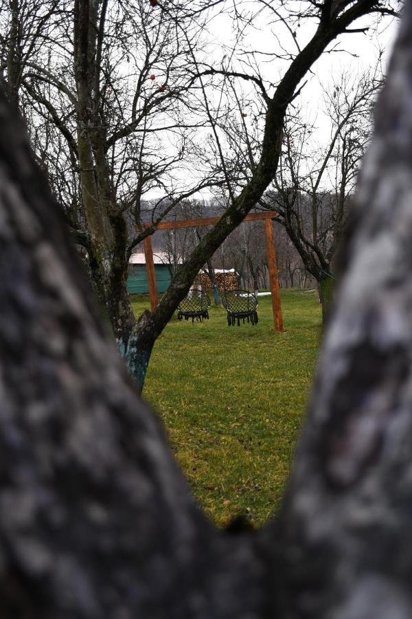 Agropensiunea Darden Baia de Fier Exterior foto